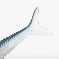 COMBO Leurres Souples Slug SLUGEELO 160 Ayu/Bleu -Pêche En Mer Boutique combo leurres souples slug slugeelo 160 ayubleu 4