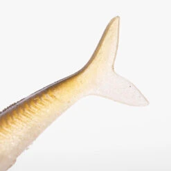 COMBO Leurres Souples Slug SLUGEELO 160 Ayu/Bleu -Pêche En Mer Boutique combo leurres souples slug slugeelo 160 ayubleu 8