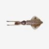 Savage Gear Leurre De Pêche En Mer 3D SWIM SQUID 12.5 CM CUTTLEFISH 1 Savage Gear Leurre De Pêche En Mer 3D SWIM SQUID 12.5 CM CUTTLEFISH -Pêche En Mer Boutique leurre de peche en mer 3d swim squid 125 cm cuttlefish